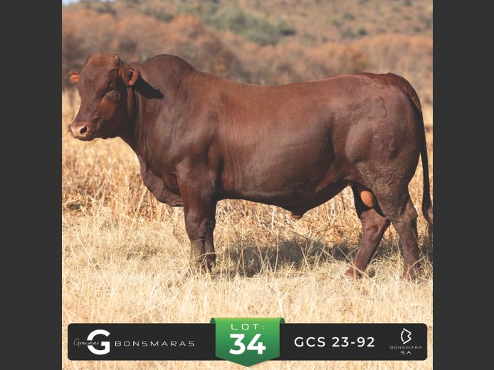 GCS 230092 | G.C. STANFORD