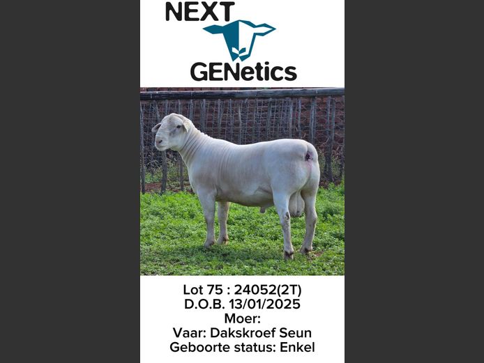 24052 | NEXT GENETICS