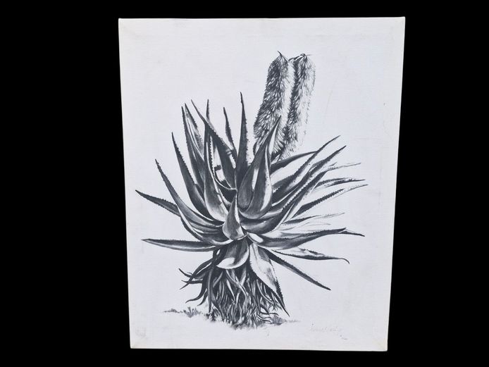 Jenny Mallon Charcoal Botanical Print "Aloe 5" Limited Edition