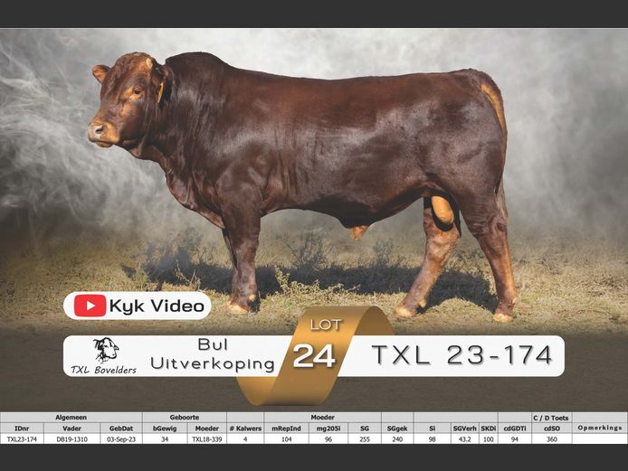 TXL23-174
