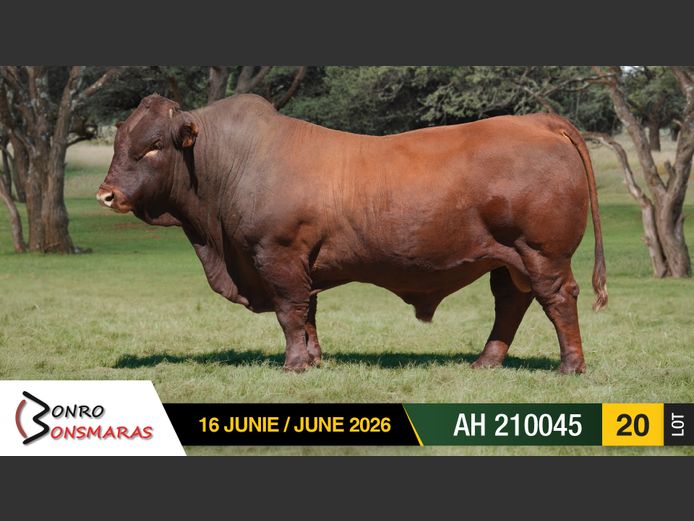 AH210045 | ETIENNE VAN TONDER BONSMARAS