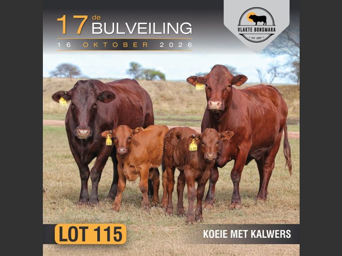 Commercial Animals | Tian Kruger Boerdery