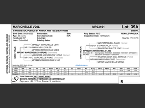 genetic_data