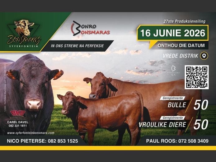 SYFERFONTEIN BONSMARAS VEILING