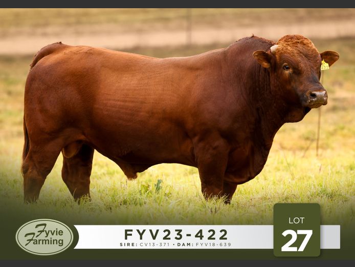 FYV23-422 | Fyvie