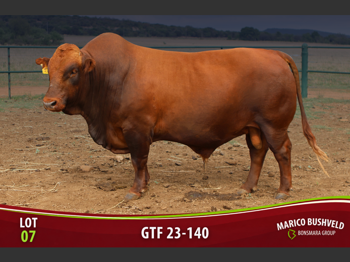 GTF230140 HH(c) | ONS TUISTE BEESBOERDERY