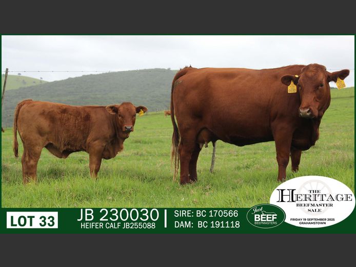 JB  230030 | JUST BEEF