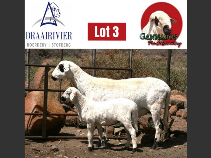 XB 111 | Draairivier Boerdery