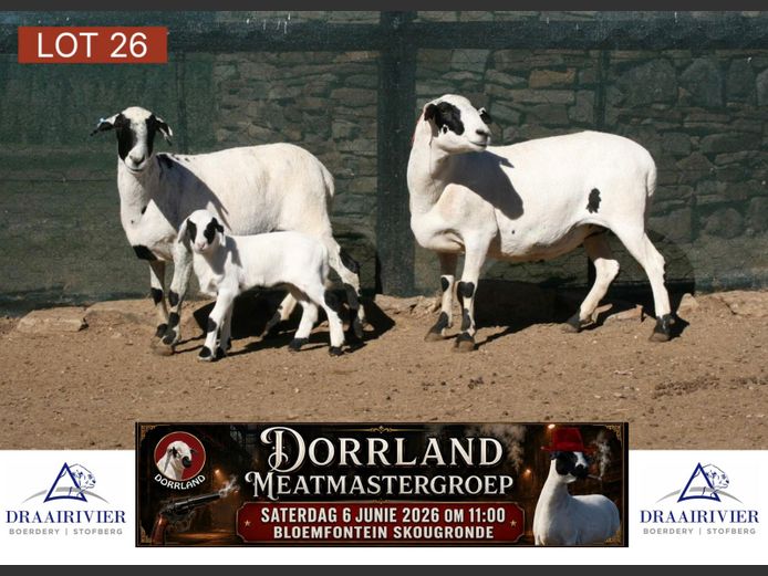 NS19-175 | Draairivier Boerdery