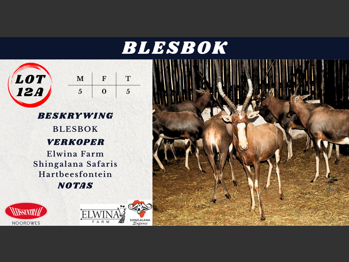 BLESBOK