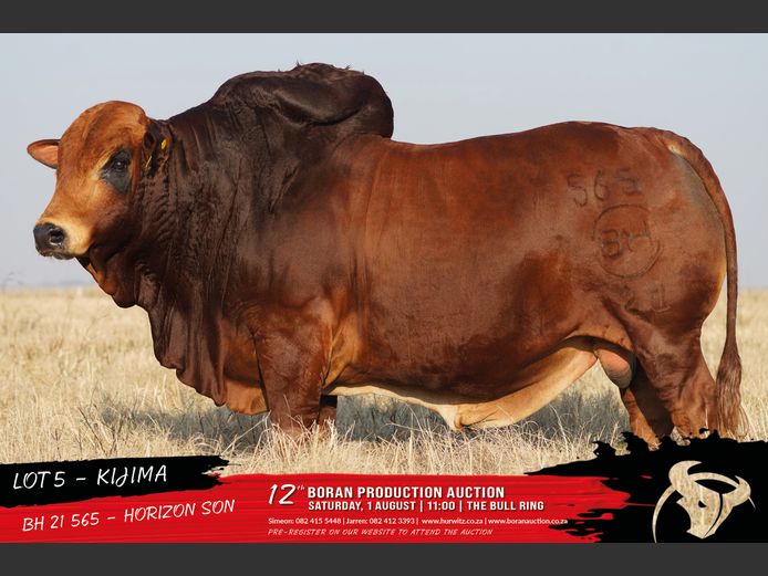 BH 210565 | HURWITZ FARMING