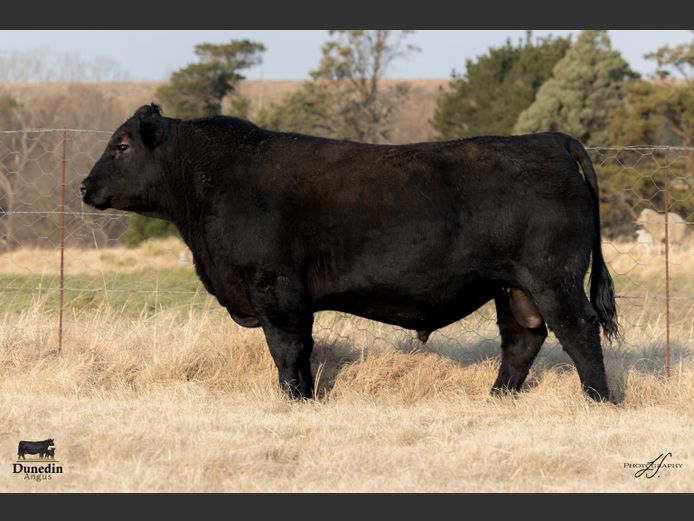 KCM 230140 | TABLE HILL FARMING PTY LTD