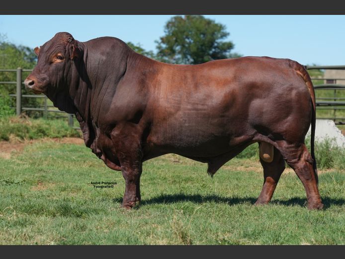 WVZ230020 | THUSO GRAAN EDMS BPK