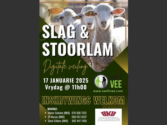 SLAG & STOORLAM DIGITALE VEILING