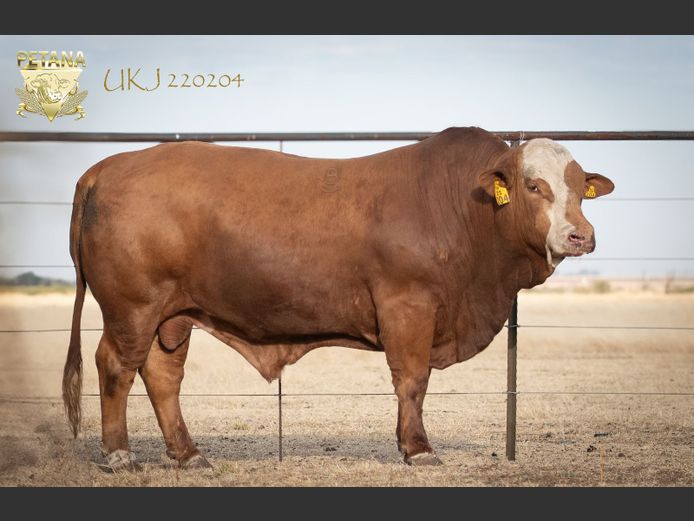 UKJ 220204