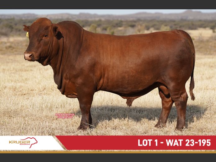 WAT230195 | KRUGER BOERDERY