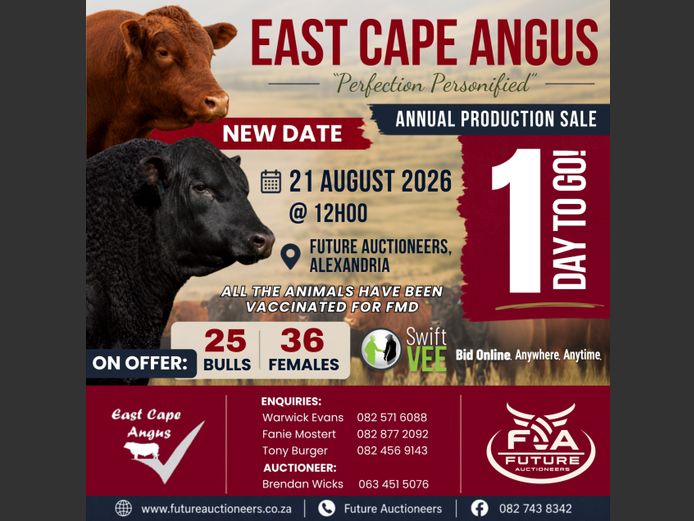 EC ANGUS PERFECTION PERSONIFIED ANNUAL PRODUCTION SALE