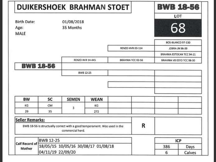 BWB 18-56