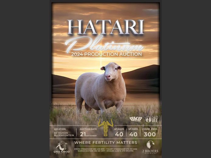 HATARI PLATINUM 2024 PRODUCTION AUCTION