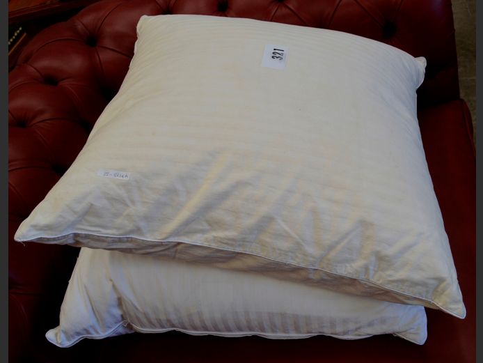 PAIR SCATTER CUSHIONS, 60 x 60cm