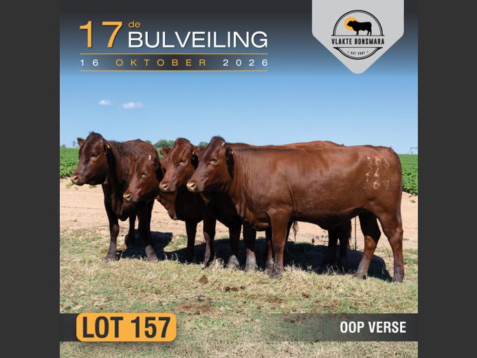 Commercial Animals | Kameeldoring Landgoed