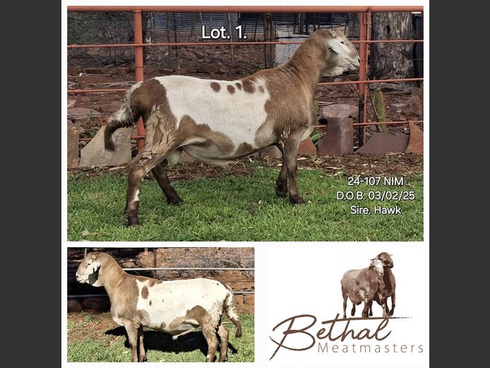 24-107 NIM | BETHAL MEATMASTERS