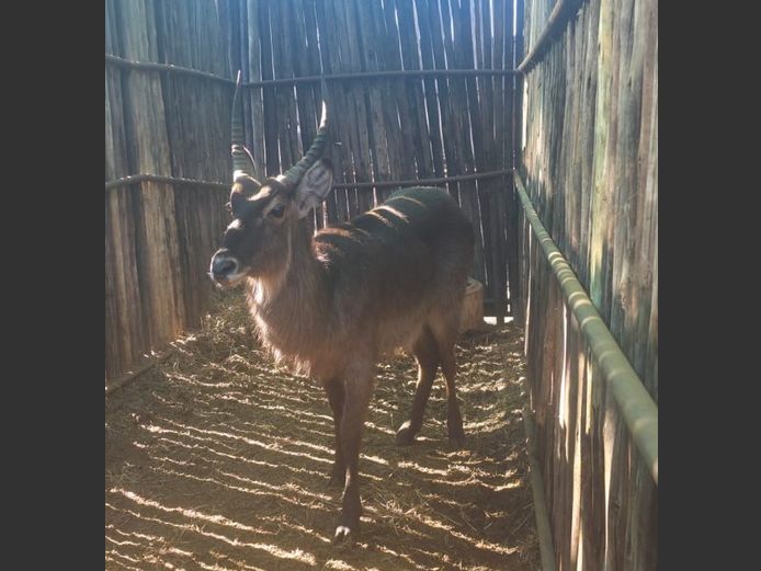WATERBOK | HANLEY 1