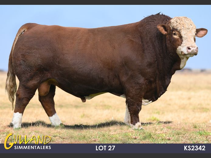 KS2342 | MG DE JAGER
