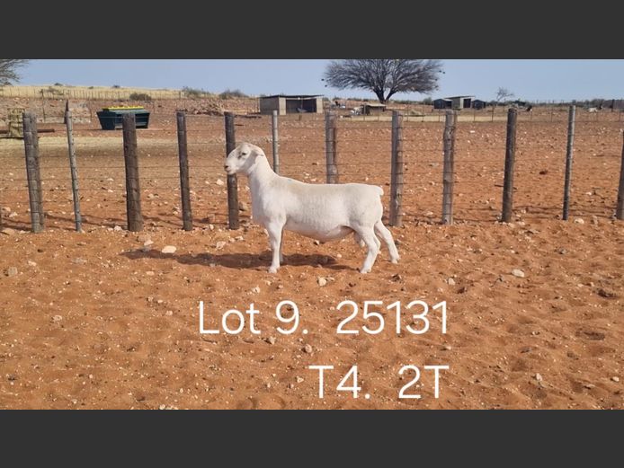 916250131W | R.J. CAHI & SON CC