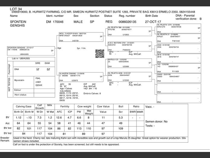 DM  170046 - GENGHIS