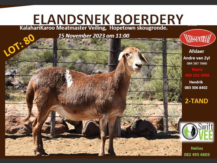 RSL 80 | ELANDSNEK BOERDERY