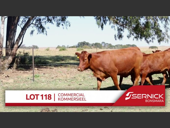 Commercial Animals
