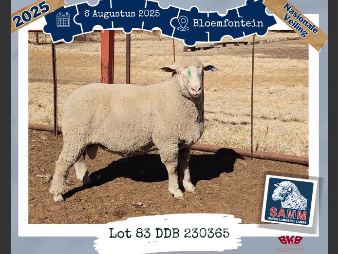 23-0365DDB | DU BRUYN A J