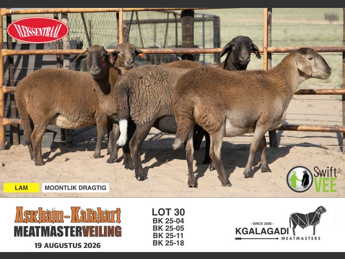 BK 25-11 | BARRI KNOETZE