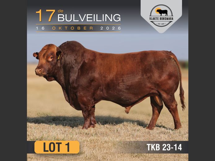 TKB230014 | TIAN KRUGER BOERDERY PTY LTD