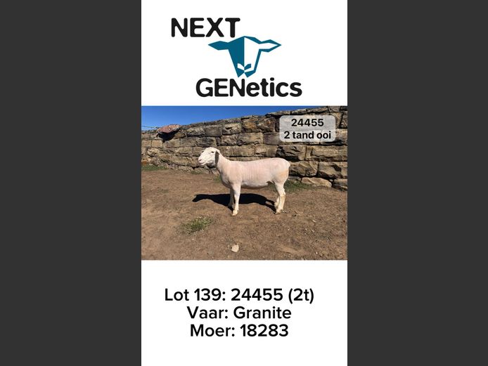 24455 | NEXT GENETICS