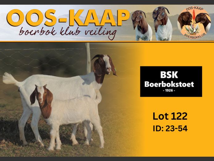 23-54 | BSK Boerbokstoet