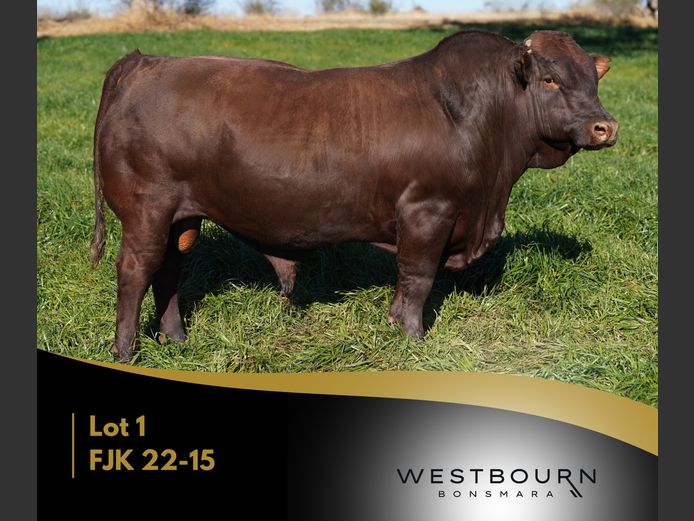FJK 220015 | WESTBOURN BONSMARAS