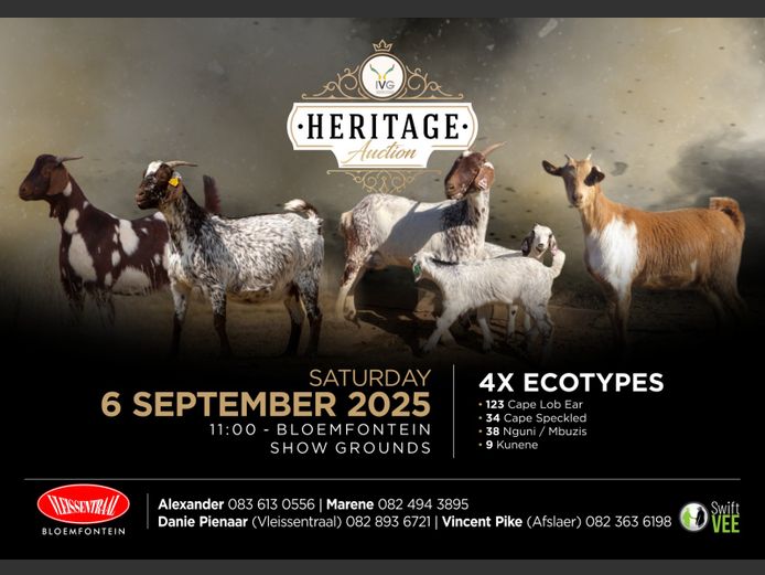 IVG HERITAGE AUCTION