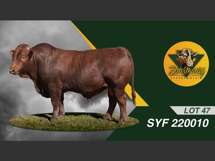 SYF220010 | SYFERFONTEIN BOERDERY