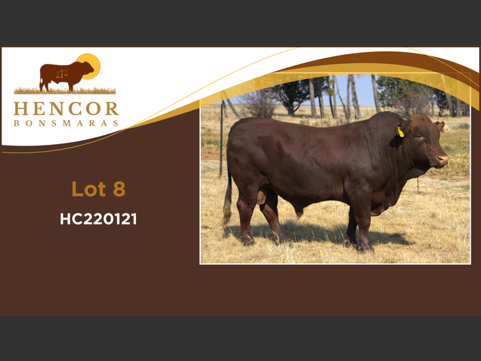 HC  220121 | HENCOR BOERDERY