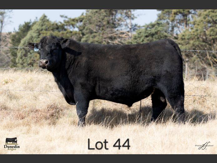 KCM 230163 | TABLE HILL FARMING PTY LTD