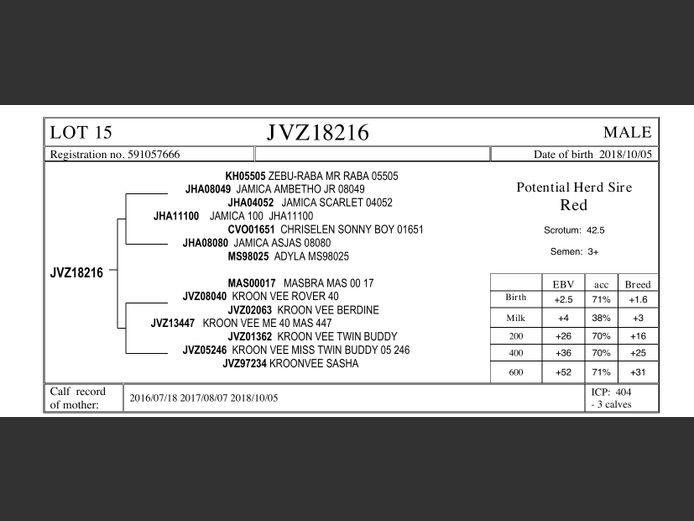 JVZ18-216