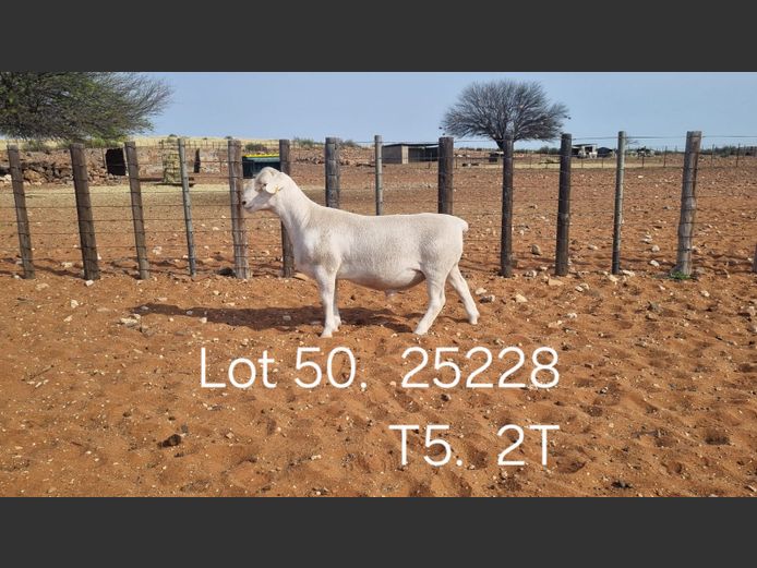 916250228W | R.J. CAHL & SON CC