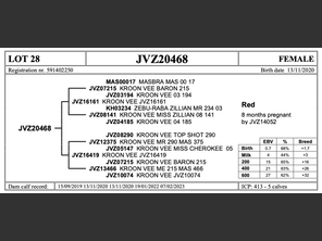 genetic_data
