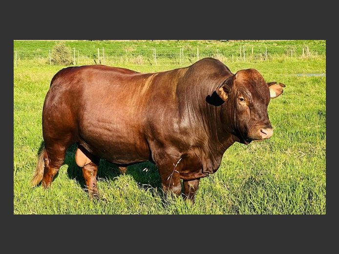 TM 220026 | TAMBARAINE PTY LTD