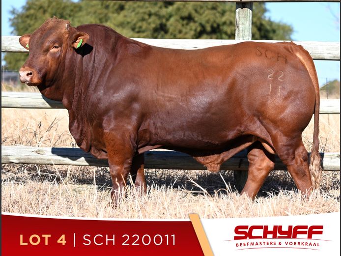 SCH 220011