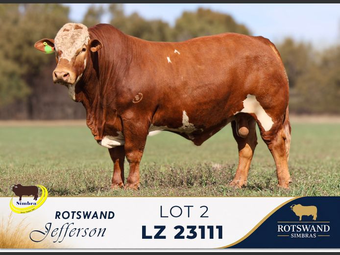 LZ23111 | AP VAN ZYL