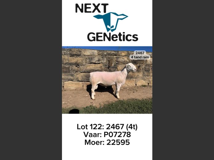 2467 | NEXT GENETICS