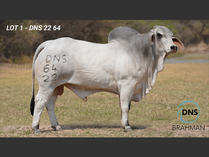 DNS2264 | JES-C BOERDERY (PTY) LTD